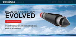 Desktop Screenshot of caledyne.com